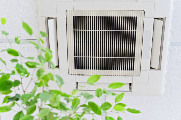 Reliable Makawao, HI Airduct Cleaning Solutions